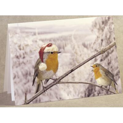 Festive Robins 9XMBELX414