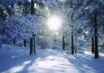 Winter Sunrise MLA2400