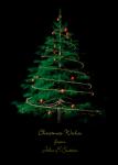Evergreen MUA1170