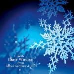 Icy Snowflakes MOXO45AB