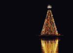 view large image and full details for Glowing Tree MOA041AB
