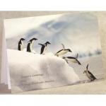 Diving Penguins 9XMBEX417