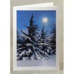 Snow Tree 9XMBELX427