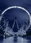 London Eye MUA3330