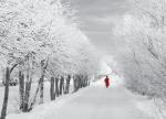 view large image and full details for Walking in The Snow MLA3260
