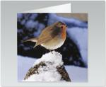 Robin 9XMBELX124