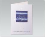 Star Tree 9XMBELX188