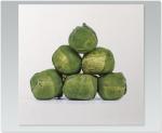 Sprouts 9XMBELX220