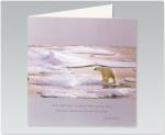 Polar Bear 9XMBELX307