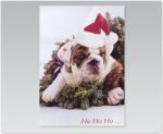 Bulldog 9XMBELX311