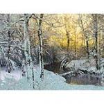view large image and full details for Winter Sunlight MOD010AB