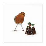 view large image and full details for Little Robin & Pudding MOA049AB