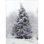 view large image and full details for Winter Glow MOA001AB