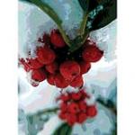 view large image and full details for Icy Berries MOA018AB