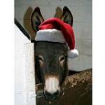view large image and full details for Design Your Christmas Card MOA064AB