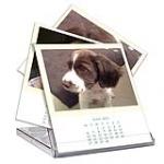 view large image and full details for Small CD Calender Your Own Design MOCAL003SAB