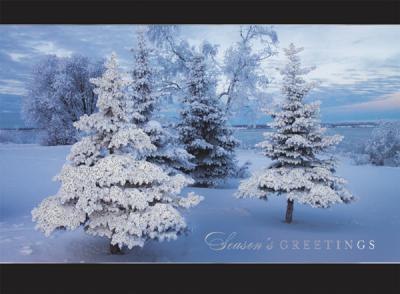 Winter Morning MAG0805F